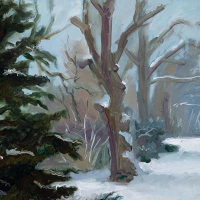 Noorderplantsoen In De Sneeuw 41x28 Acryl Op Multiplex