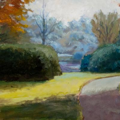 Stadspark Groningen Herfst 18x49 Acryl Op Mdf